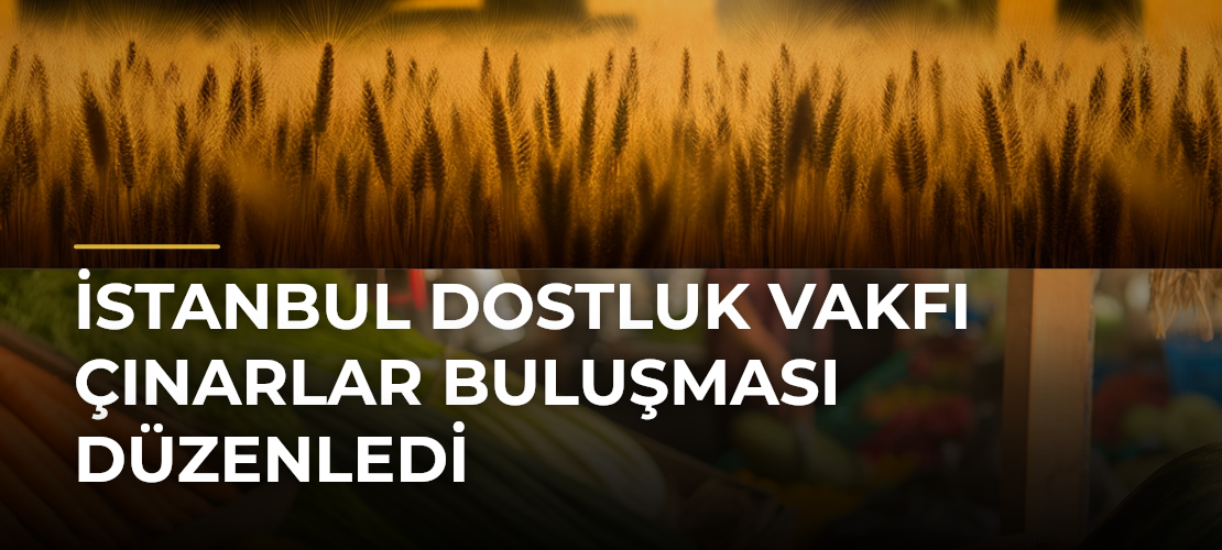 İstanbul Dostluk Vakfı Çınarlar Buluşması Düzenledi - Mirat Haber