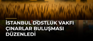 İstanbul Dostluk Vakfı Çınarlar Buluşması Düzenledi