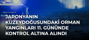 Japonyanın Kuzeydoğusundaki Orman Yangınları 11. Gününde Kontrol Altına Alındı