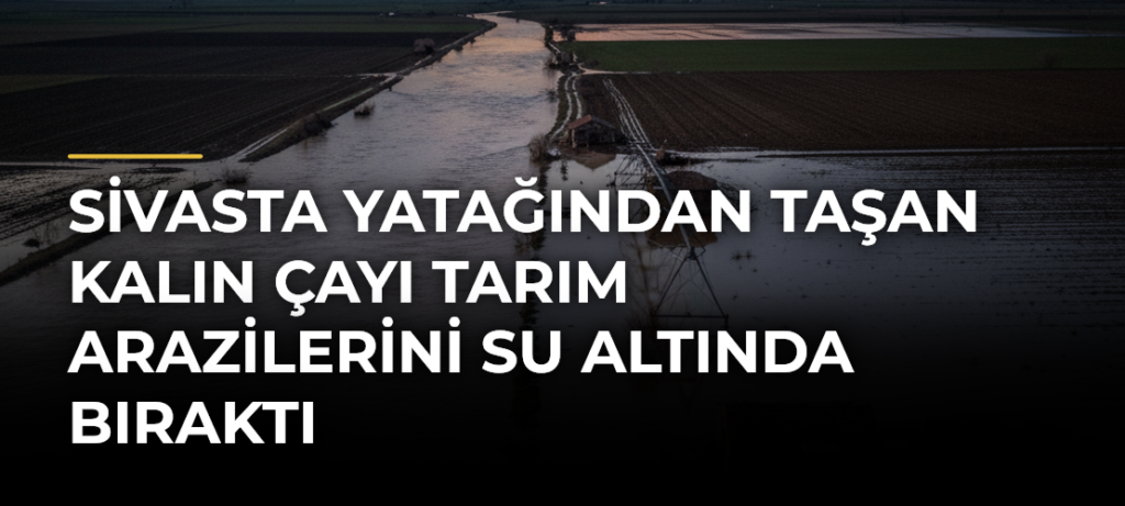 Sivasta yatağından taşan Kalın Çayı tarım arazilerini su altında bıraktı