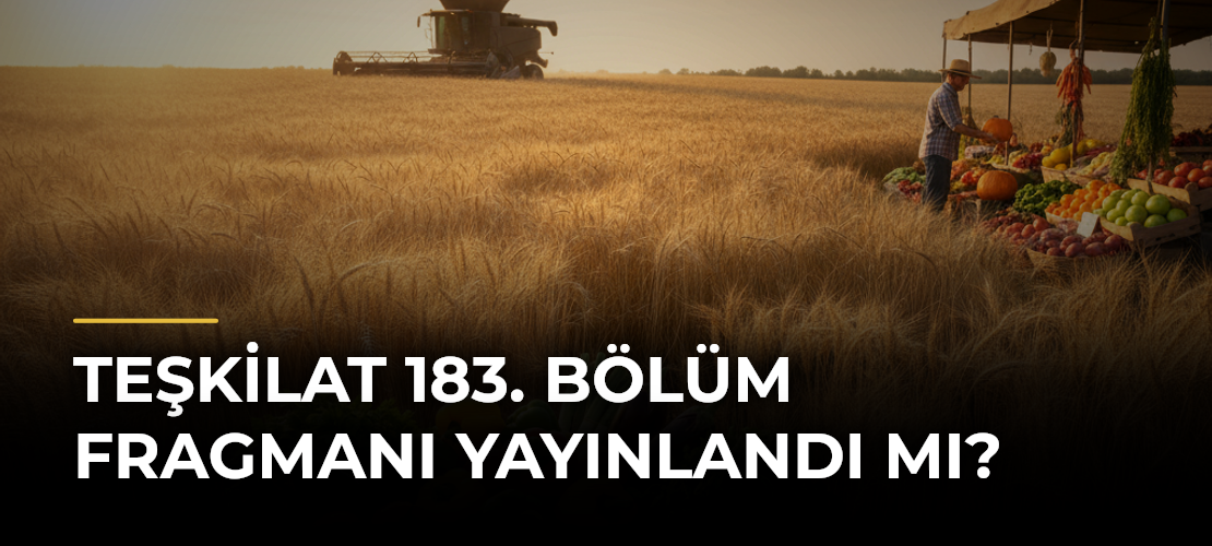 TEŞKİLAT 183. BÖLÜM FRAGMANI YAYINLANDI MI?