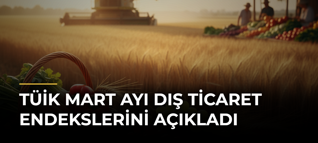 TÜİK Mart Ayı Dış Ticaret Endekslerini Açıkladı