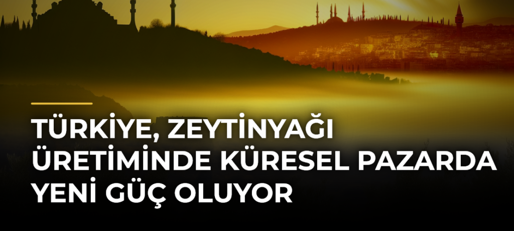 Türkiye, zeytinyağı üretiminde küresel pazarda yeni güç oluyor
