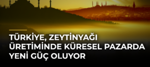 Türkiye, zeytinyağı üretiminde küresel pazarda yeni güç oluyor