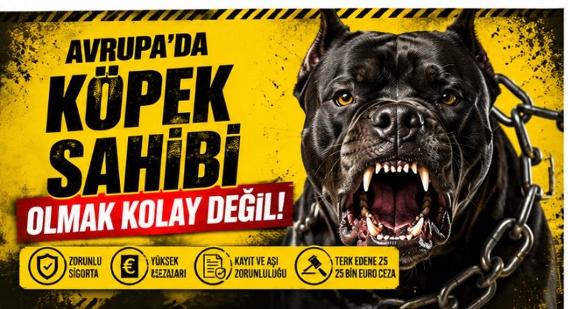 Almanya’da Evcil Hayvan Sahibi Olmak