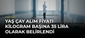 Yaş çay alım fiyatı kilogram başına 35 lira olarak belirlendi