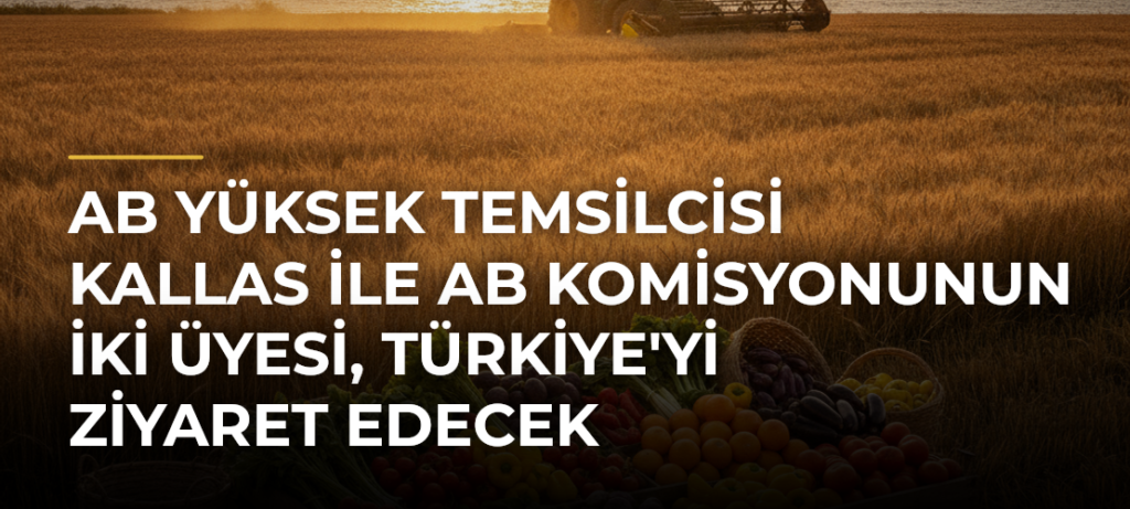 AB Yüksek Temsilcisi Kallas ile AB Komisyonunun İki Üyesi, Türkiye’yi Ziyaret Edecek