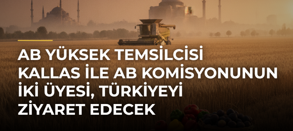 AB Yüksek Temsilcisi Kallas ile AB Komisyonunun iki üyesi, Türkiyeyi ziyaret edecek