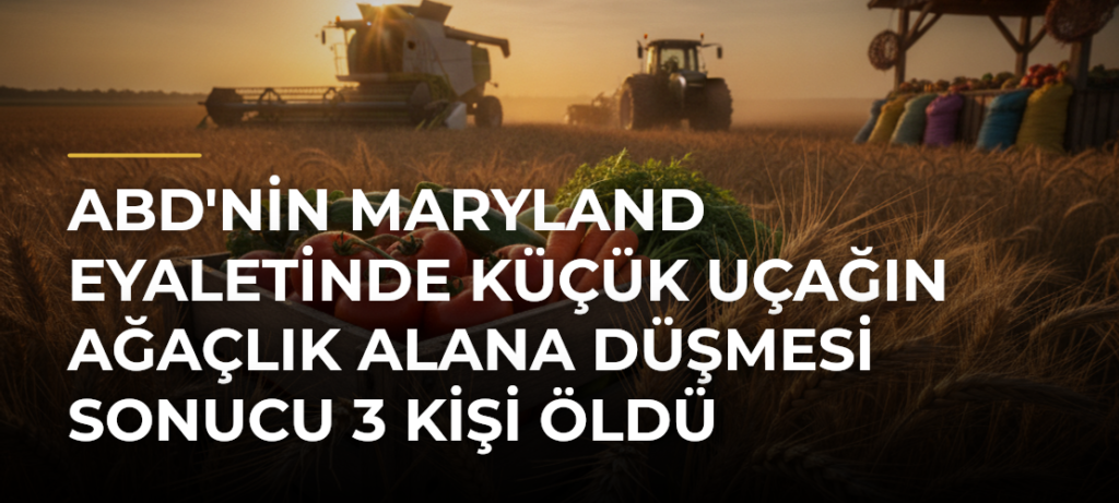 ABD’nin Maryland Eyaletinde Küçük Uçağın Ağaçlık Alana Düşmesi Sonucu 3 Kişi Öldü