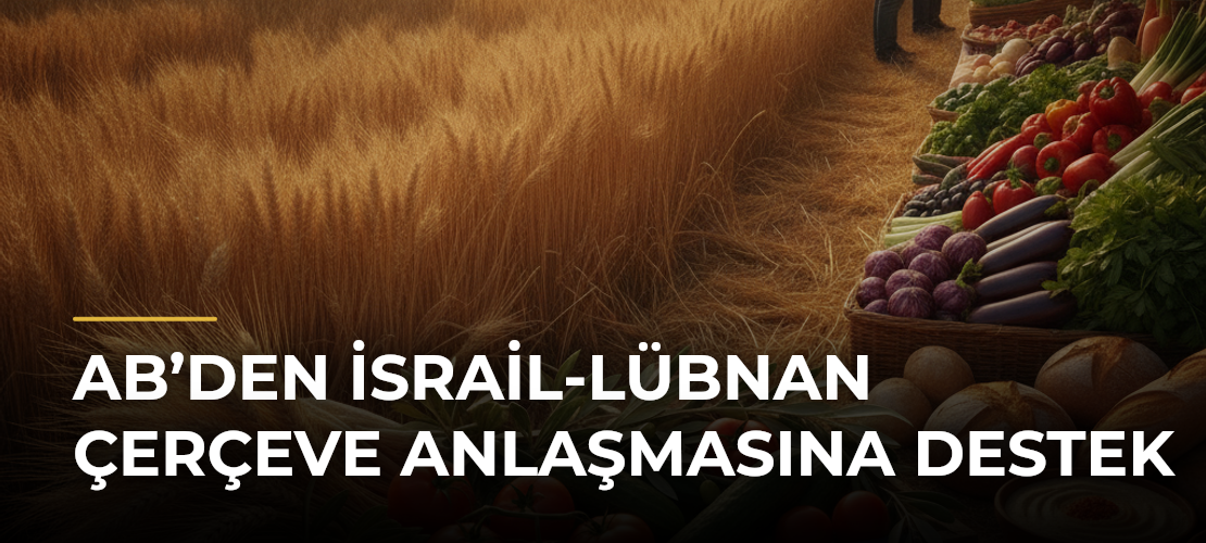 AB’den İsrail-Lübnan Çerçeve Anlaşmasına Destek - Mirat Haber