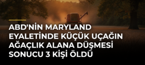 ABD’nin Maryland Eyaletinde Küçük Uçağın Ağaçlık Alana Düşmesi Sonucu 3 Kişi Öldü