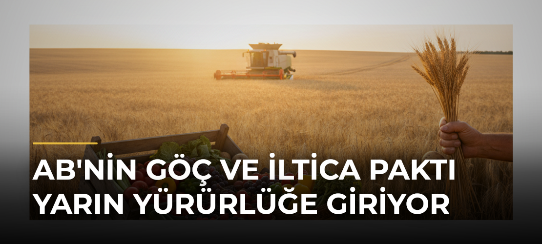 AB'nin Göç ve İltica Paktı yarın yürürlüğe giriyor - Mirat Haber