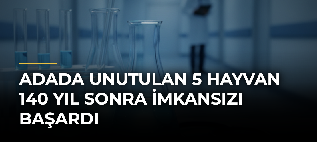 Adada Unutulan 5 Hayvan 140 Yıl Sonra İmkansızı Başardı