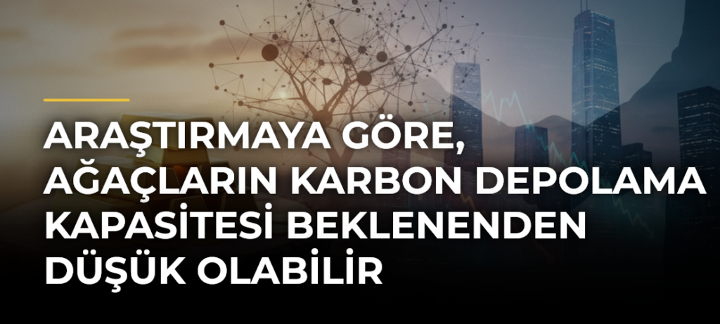 Araştırmaya göre, ağaçların karbon depolama kapasitesi beklenenden düşük olabilir