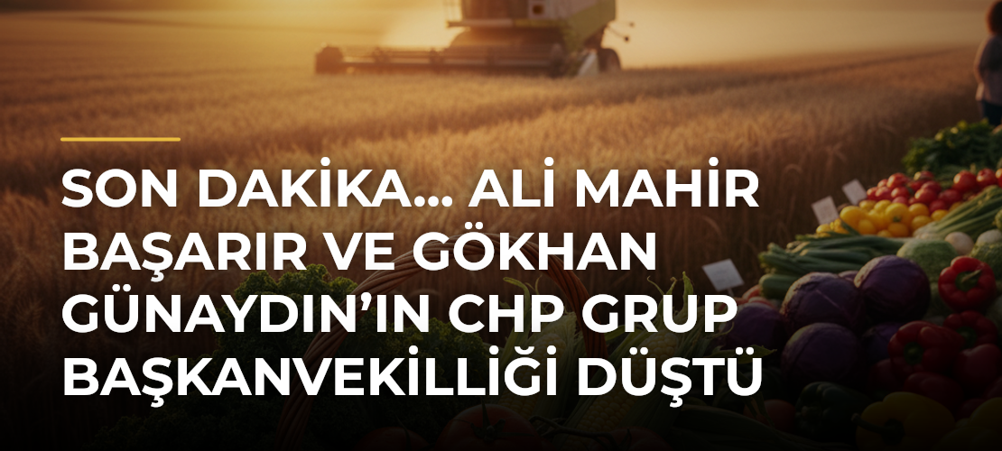 SON DAKİKA... Ali Mahir Başarır ve Gökhan Günaydın’ın CHP Grup Başkanvekilliği Düştü - Mirat Haber