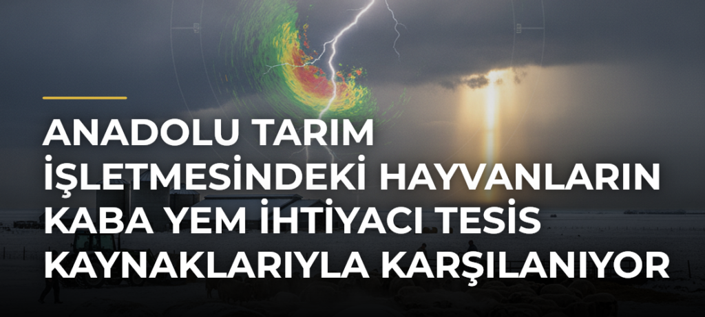 Anadolu Tarım İşletmesindeki Hayvanların Kaba Yem İhtiyacı Tesis Kaynaklarıyla Karşılanıyor