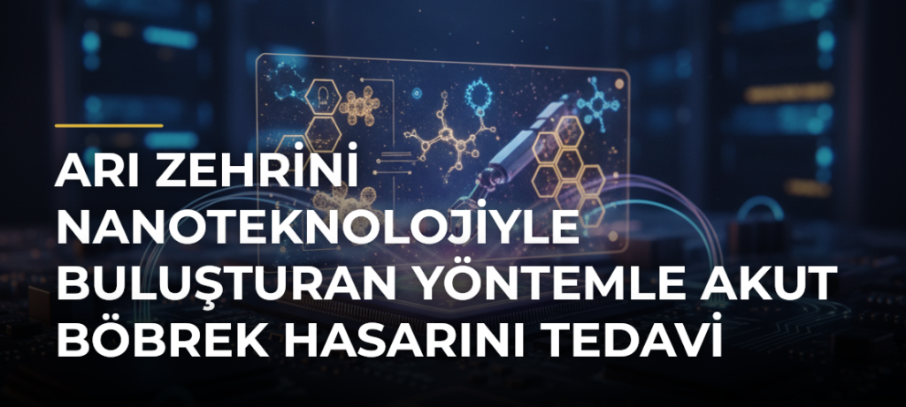 Arı zehrini nanoteknolojiyle buluşturan yöntemle akut böbrek hasarını tedavi etmeyi hedefliyorlar