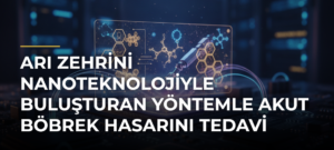 Arı zehrini nanoteknolojiyle buluşturan yöntemle akut böbrek hasarını tedavi etmeyi hedefliyorlar
