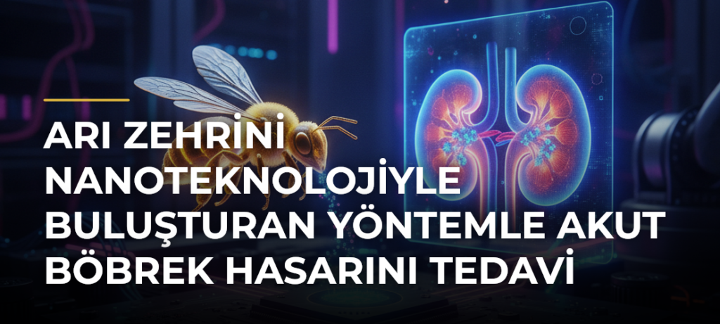 Arı Zehrini Nanoteknolojiyle Buluşturan Yöntemle Akut Böbrek Hasarını Tedavi Etmeyi Hedefliyorlar