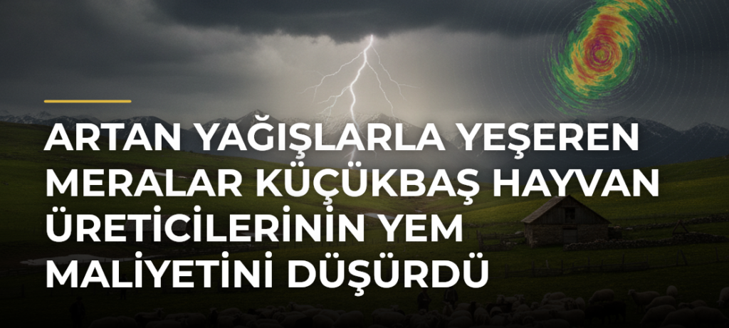 Artan yağışlarla yeşeren meralar küçükbaş hayvan üreticilerinin yem maliyetini düşürdü