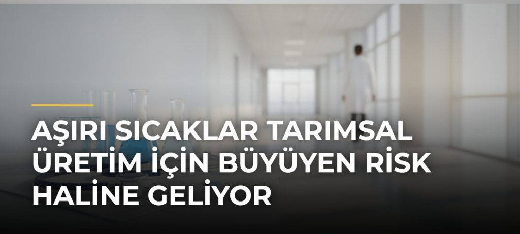 Aşırı sıcaklar tarımsal üretim için büyüyen risk haline geliyor
