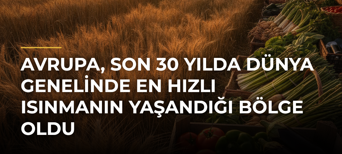 Avrupa, son 30 yılda dünya genelinde en hızlı ısınmanın yaşandığı bölge oldu - Mirat Haber