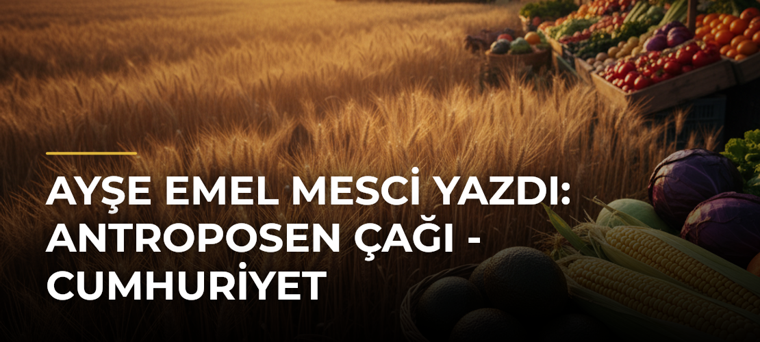 Ayşe Emel Mesci yazdı: Antroposen Çağı - Cumhuriyet - Mirat Haber