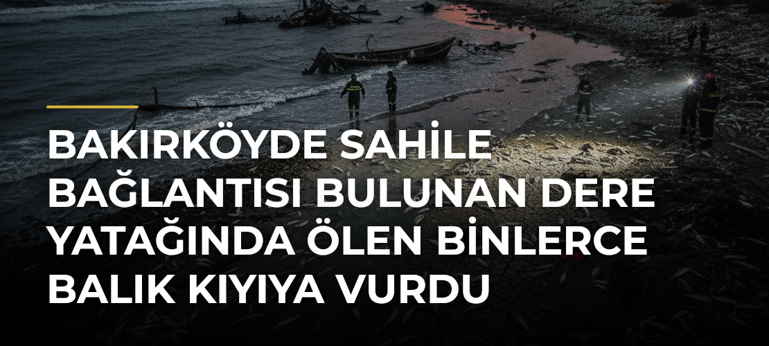 Bakırköyde sahile bağlantısı bulunan dere yatağında ölen binlerce balık kıyıya vurdu - Mirat Haber