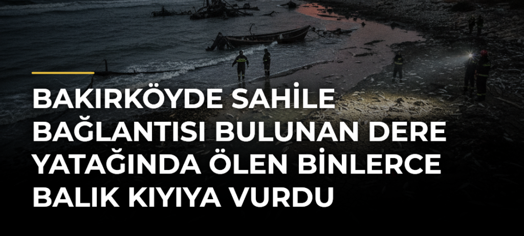 Bakırköyde sahile bağlantısı bulunan dere yatağında ölen binlerce balık kıyıya vurdu