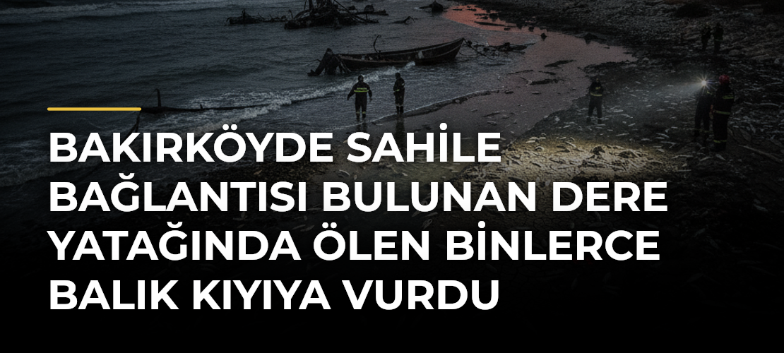 Bakırköyde sahile bağlantısı bulunan dere yatağında ölen binlerce balık kıyıya vurdu