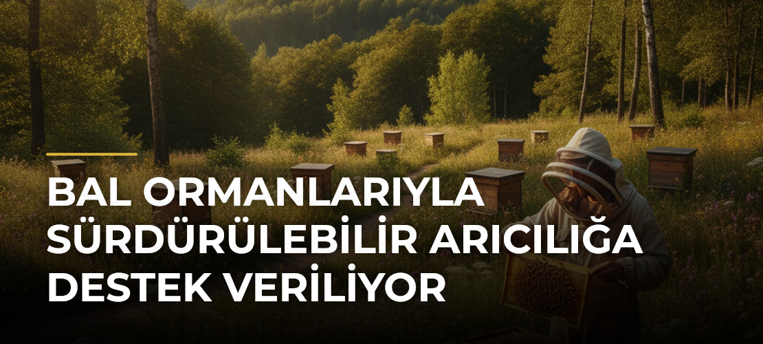 Bal Ormanlarıyla Sürdürülebilir Arıcılığa Destek Veriliyor - Mirat Haber