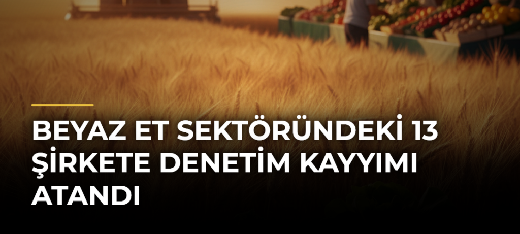 Beyaz Et Sektöründeki 13 Şirkete Denetim Kayyımı Atandı