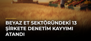 Beyaz Et Sektöründeki 13 Şirkete Denetim Kayyımı Atandı