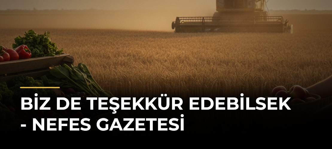 Biz de teşekkür edebilsek - Nefes Gazetesi