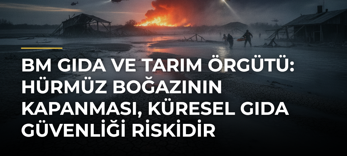 BM Gıda ve Tarım Örgütü: Hürmüz Boğazının kapanması, küresel gıda güvenliği riskidir - Mirat Haber