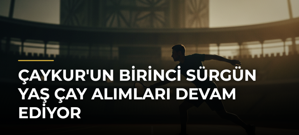 ÇAYKUR’un Birinci Sürgün Yaş Çay Alımları Devam Ediyor
