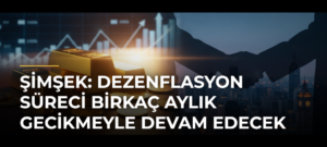 Şimşek: Dezenflasyon Süreci Birkaç Aylık Gecikmeyle Devam Edecek