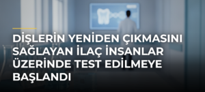 Dişlerin Yeniden Çıkmasını Sağlayan İlaç İnsanlar Üzerinde Test Edilmeye Başlandı