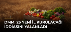 DMM, 25 yeni il kurulacağı iddiasını yalanladı
