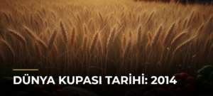 Dünya Kupası tarihi: 2014