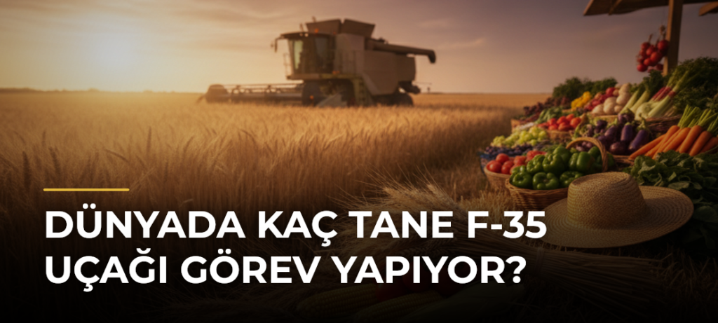Dünyada Kaç Tane F-35 Uçağı Görev Yapıyor?