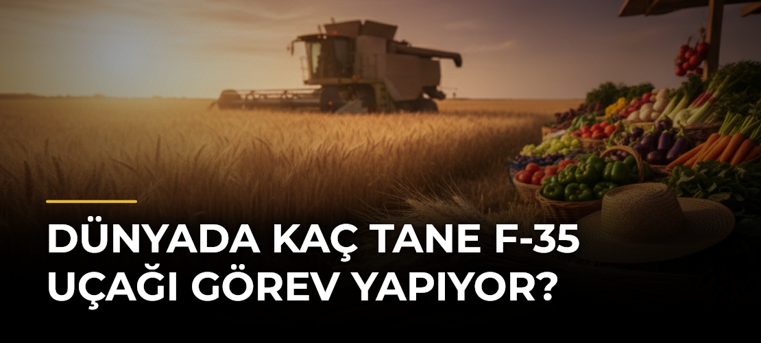 Dünyada Kaç Tane F-35 Uçağı Görev Yapıyor?