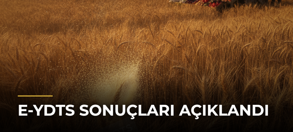 e-YDTS sonuçları açıklandı