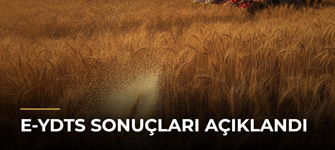 e-YDTS sonuçları açıklandı - Mirat Haber