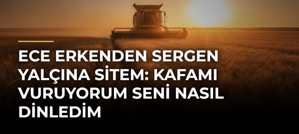 Ece Erkenden Sergen Yalçına sitem: Kafamı vuruyorum seni nasıl dinledim