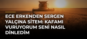 Ece Erkenden Sergen Yalçına sitem: Kafamı vuruyorum seni nasıl dinledim