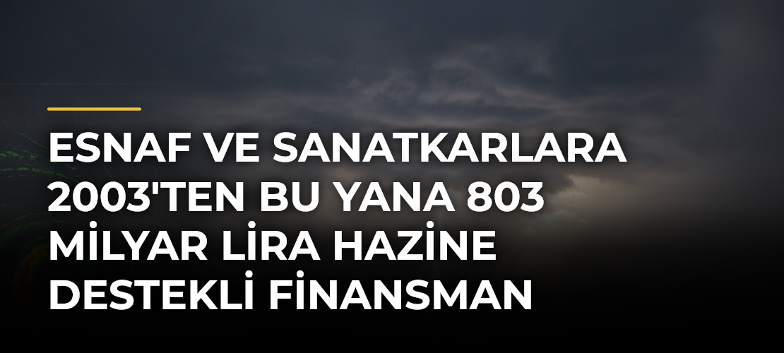Esnaf ve Sanatkarlara 2003'ten Bu Yana 803 Milyar Lira Hazine Destekli Finansman Sağlandı