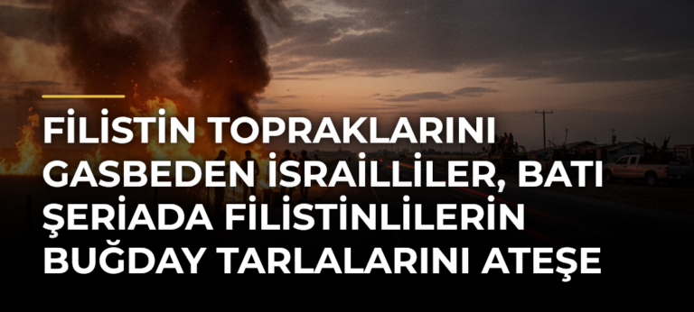 Filistin topraklarını gasbeden İsrailliler, Batı Şeriada Filistinlilerin buğday tarlalarını ateşe verdi