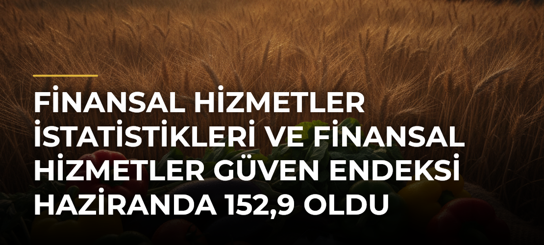 Finansal Hizmetler İstatistikleri ve Finansal Hizmetler Güven Endeksi Haziranda 152,9 Oldu - Mirat Haber