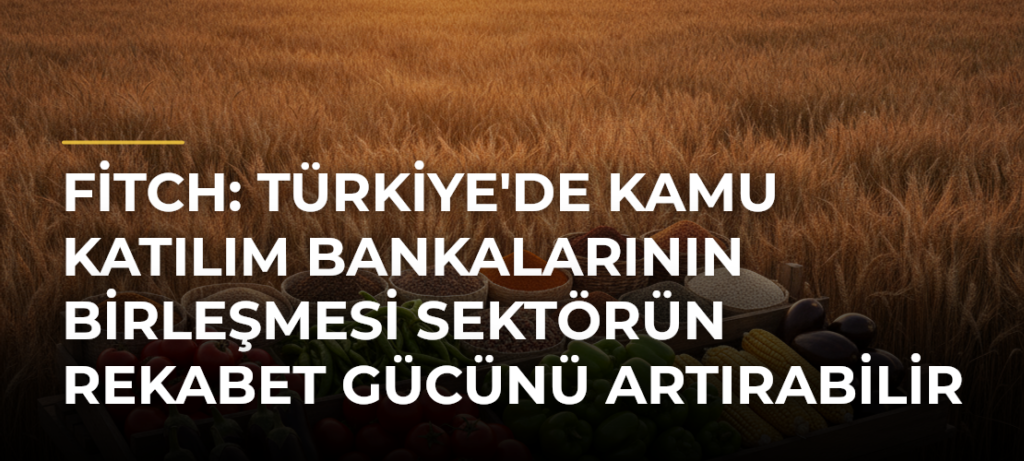 Fitch: Türkiye’de Kamu Katılım Bankalarının Birleşmesi Sektörün Rekabet Gücünü Artırabilir